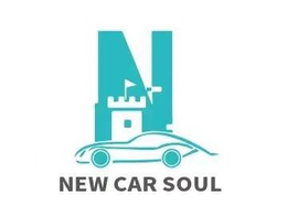 N NEW CAR SOUL logo