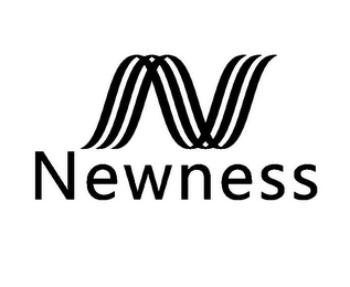 N NEWNESS logo