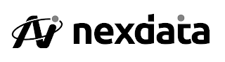 N NEXDATA logo