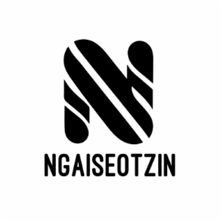 N NGAISEOTZIN logo