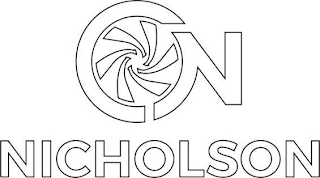 N NICHOLSON logo