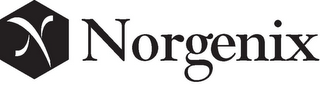 N NORGENIX logo