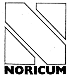 N NORICUM logo