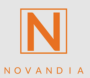 N NOVANDIA logo