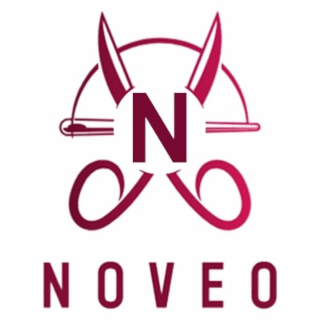 N NOVEO logo