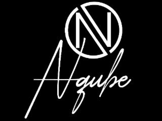 N NQUBE logo