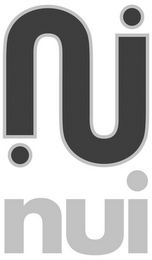 N NUI logo