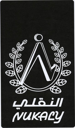 N NUKALY logo