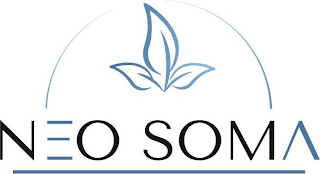 N O SOMV logo