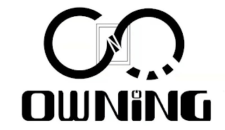 N OWNING logo