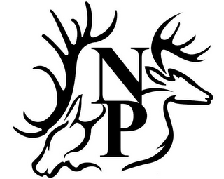 N P logo