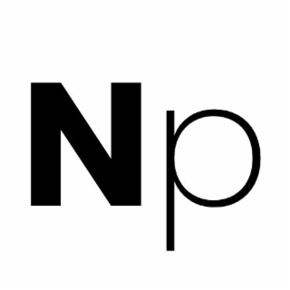 N P logo