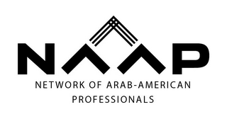 N, P, AND NETWORK OF ARAB-AMERICAN PROFESSIONALS logo