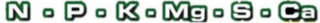 N · P · K · MG · S · CA logo