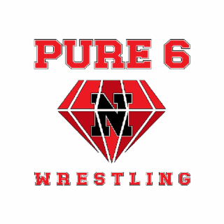 N PURE 6 WRESTLING logo