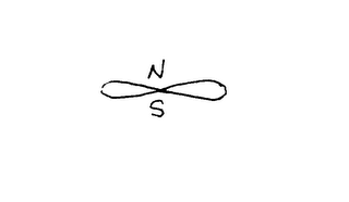N S logo