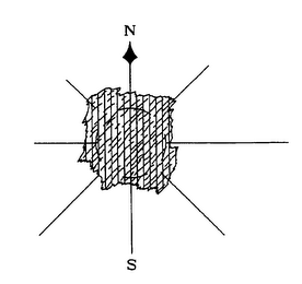 N S logo