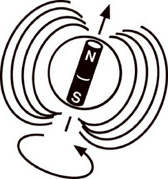 N S logo