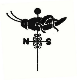 N S logo