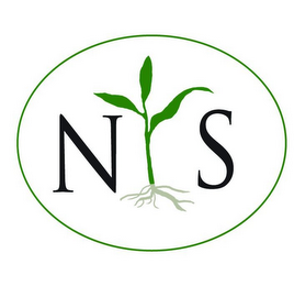 N S logo