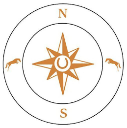 N S logo
