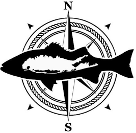 N S logo