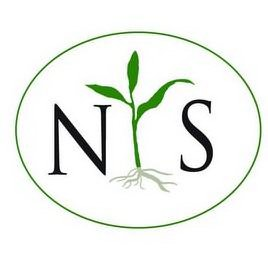 N S logo