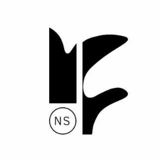 N S logo