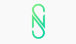 N S logo