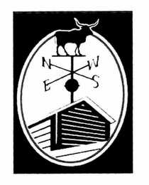 N S E W logo