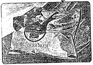 N S GENNAKER logo