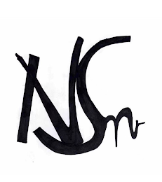 N S N G logo