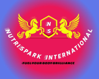 N S NUTRISPARK INTERNATIONAL FUEL YOUR BODY BRILLIANCE logo