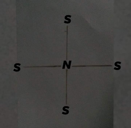 N S S S S logo