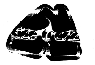 N SIDE TRACK logo