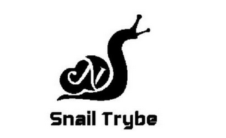 N SNAIL TRYBE logo