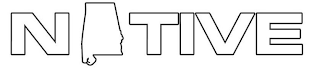 N TIVE logo
