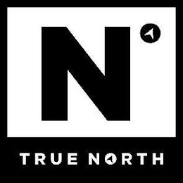 N TRUE NORTH logo