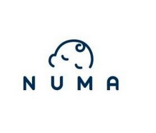 N U M A logo