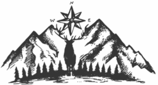 N W E logo