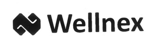 N WELLNEX logo