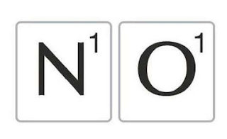 N1O1 logo
