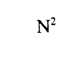 N2 logo