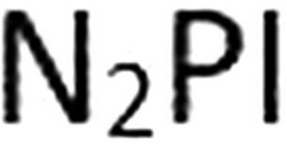 N2PI logo