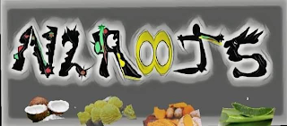 N2ROOTS logo