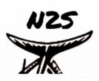 N2S logo