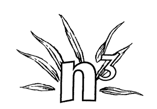 N3 logo