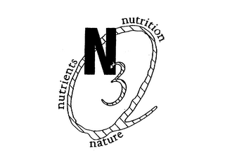 N3 logo
