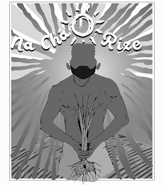 NA CHÁ RIZE logo