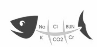 NA CL BUN K CO2 CR logo